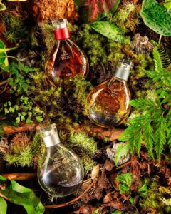 Natura Ekos lança coleção de alta perfumaria inspirada na Amazônia